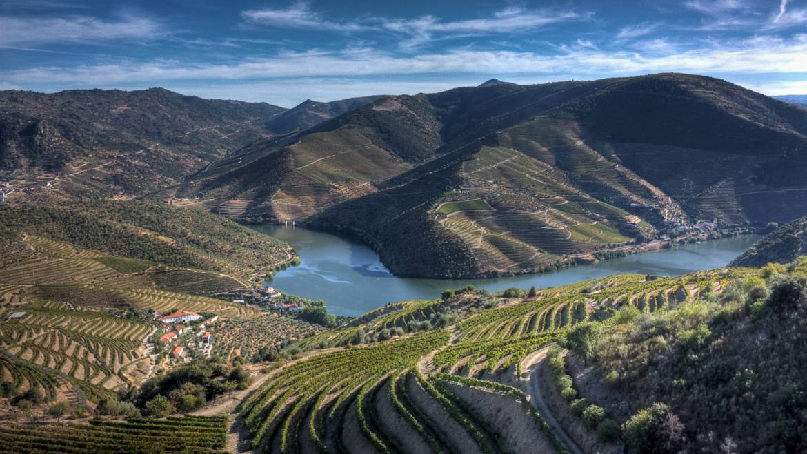 Wedding in Douro